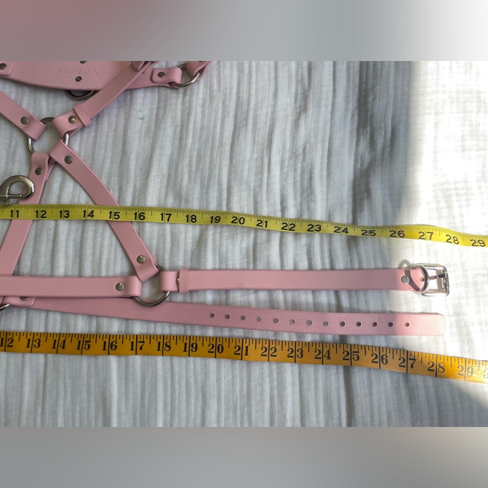 Anoeses Leather Pink Terra bondage Lingerie Set - Picture 11 of 17